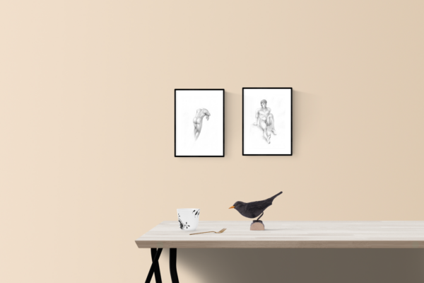 two framed drawings of male nudes displayed on a wall above a desk