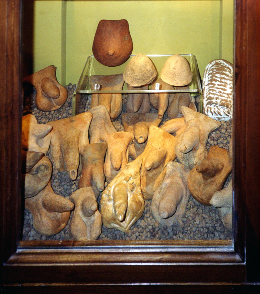 a cabinet full of ancient terra cotta penises excavated at pompeii