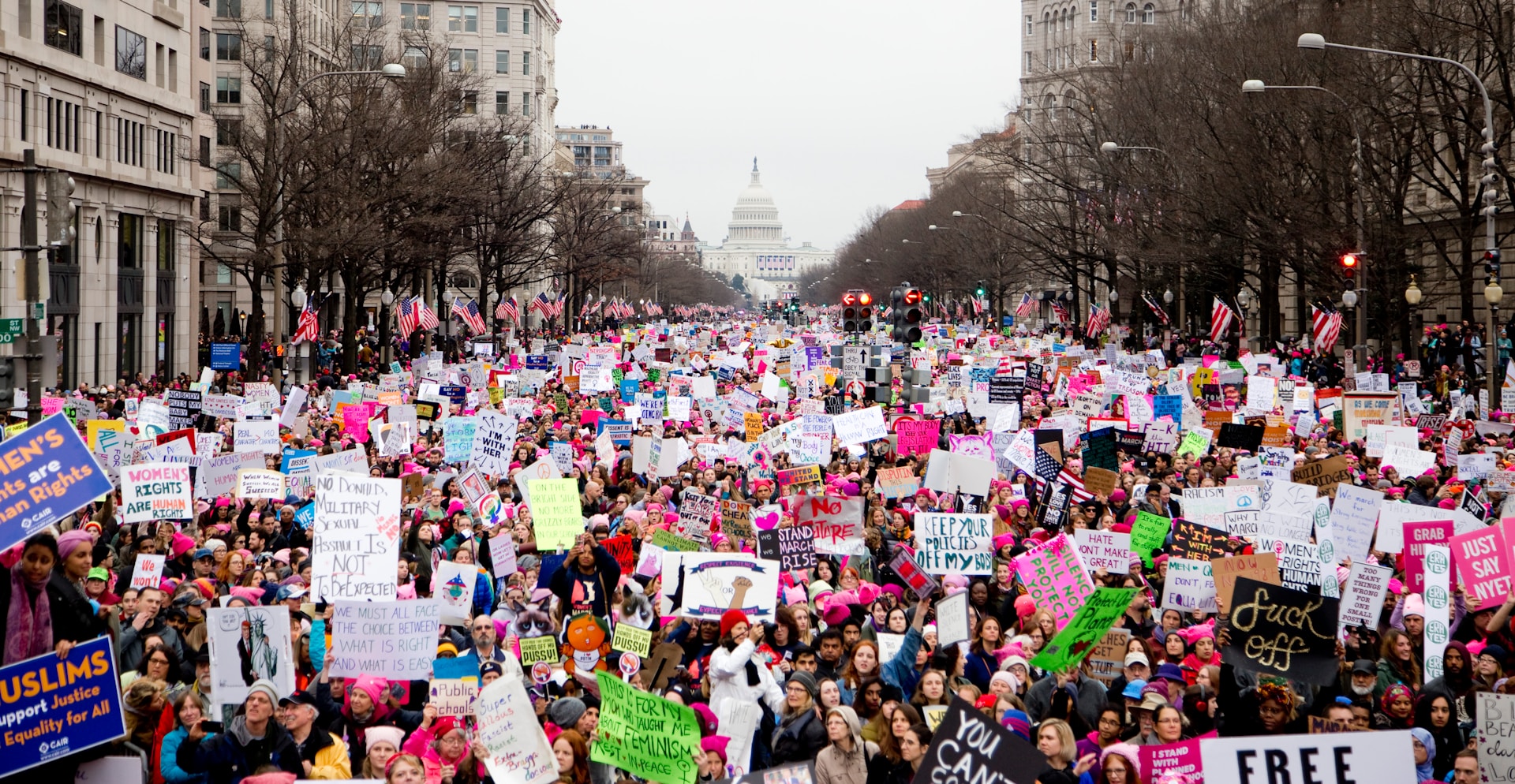 large crowd of protesters in Washington D.C. with the capitol building visible in the distance