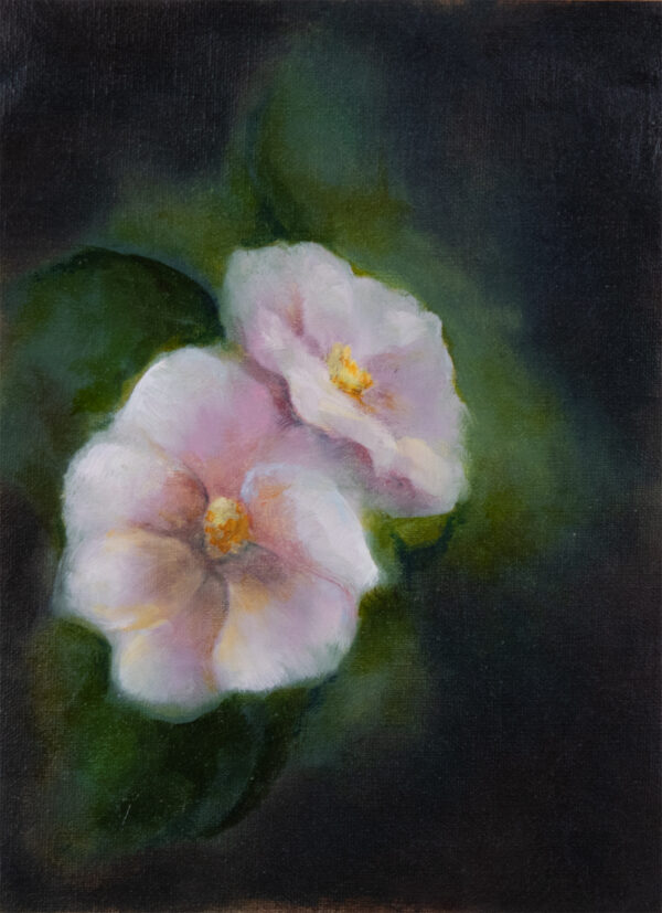 oil painting of delicate pink blossoms gently glowing in moonlight